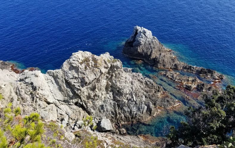 découvrir l'île de Porquerolles