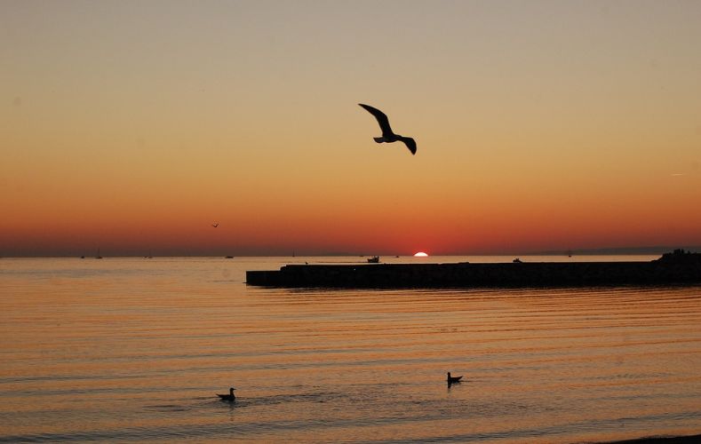 Que faire à Porquerolles en une journée