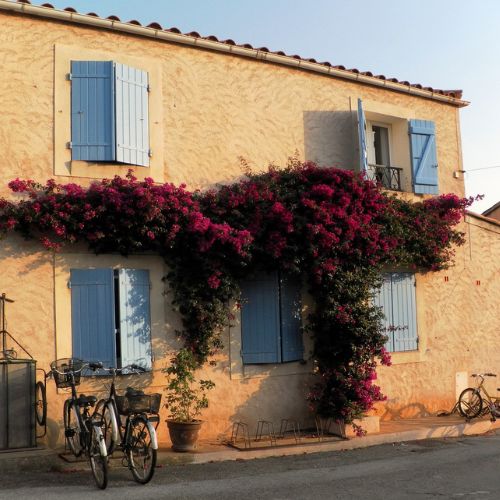 village île de Porquerolles