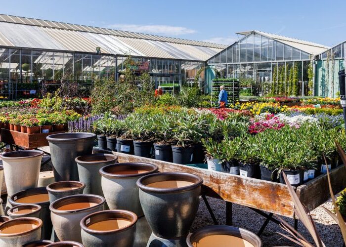 Pépinière Valbray - pépinière toulon