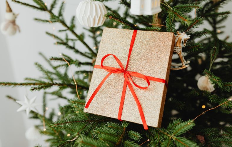 Où acheter son sapin de Noël à Hyères